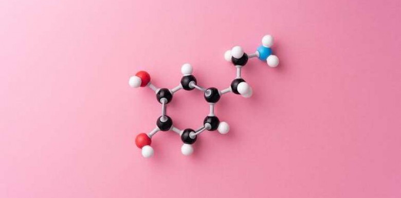 nhin-dopamine-trao-luu-moi-noi-o-thung-lung-silicon-duoi-goc-nhin-cua-giao-su-tam-ly-hoc