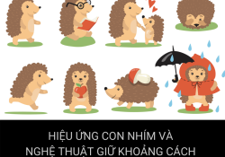 hieu-ung-con-nhim-va-nghe-thuat-giu-khoang-cach-trong-cac-moi-quan-he