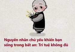 nguyen-nhan-chu-yeu-khien-ban-song-trong-bat-an-tri-tue-khong-du