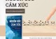 nguon-goc-cam-xuc-bi-an-song-dong-cua-bo-nao-lisa-feldman-barrett