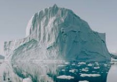 hoi-chung-nhay-cam-qua-muc-voi-su-tu-choi-phan-chim-cua-tang-bang-troi