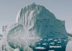 hoi-chung-nhay-cam-qua-muc-voi-su-tu-choi-phan-chim-cua-tang-bang-troi