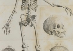 dieu-nhung-nguoi-am-anh-benh-tat-khong-the-noi-voi-ban