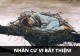 cach-huy-hoai-mot-nguoi-nhanh-nhat-do-la-de-ho-nhan-roi