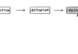 buong-bo-bot-mong-cau-chia-khoa-de-pha-vo-nhung-thoi-quen-xau-nhat