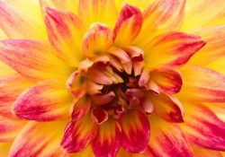 cuoc-song-von-gian-nan-nhung-hay-van-nang-niu-niem-vui