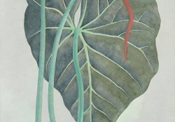 cach-de-truong-thanh