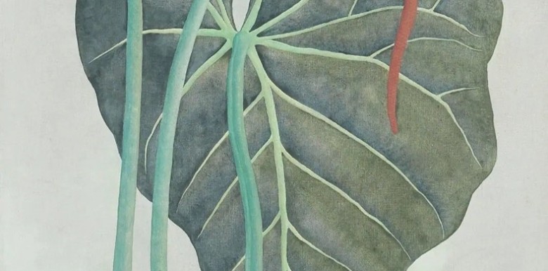 cach-de-truong-thanh