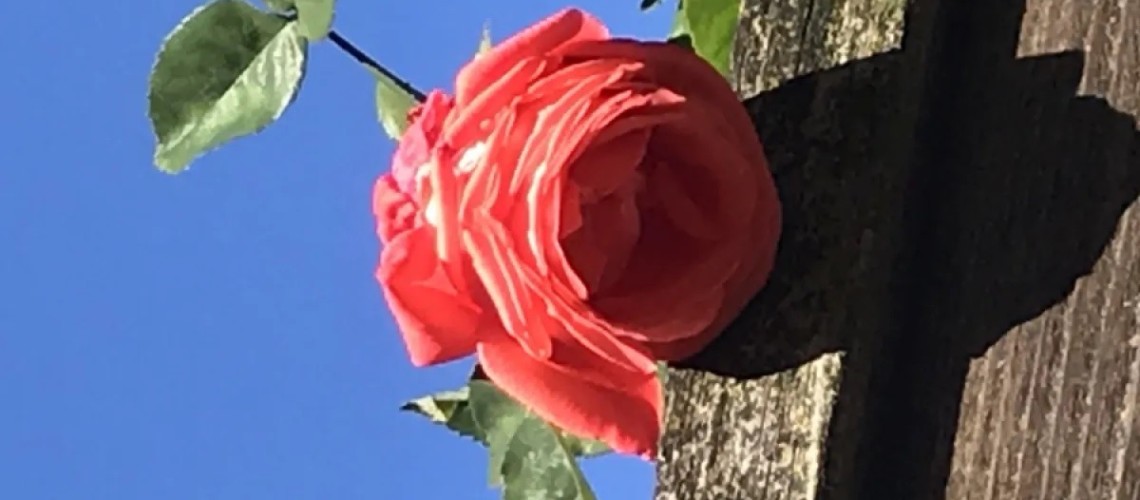 thach-thuc-chu-nghia-hoan-hao-bang-cach-thuc-hanh-long-trac-an-voi-chinh-minh