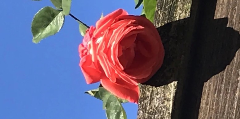 thach-thuc-chu-nghia-hoan-hao-bang-cach-thuc-hanh-long-trac-an-voi-chinh-minh