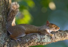 vai-tro-cua-giac-ngu-trong-suc-khoe-tinh-than