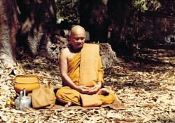 nhin-thay-moi-su-dung-nhu-no-thuc-la-thien-su-ajahn-chah