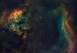 vai-tro-cua-vo-thuc-trong-tinh-yeu