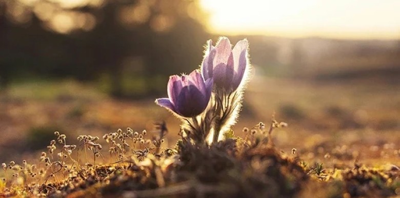 nguoi-khat-khao-tinh-yeu-den-muc-khong-bao-gio-co-duoc-no