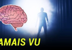 hien-tuong-doi-nghich-voi-deja-vu-jamais-vu-la-gi-tai-sao-chung-ta-phai-canh-giac-voi-no