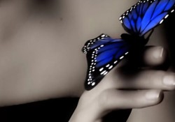 nhung-duc-tinh-cao-dep-cua-long-hao-phong-trong-chuyen-goi-chan