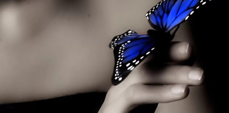 nhung-duc-tinh-cao-dep-cua-long-hao-phong-trong-chuyen-goi-chan