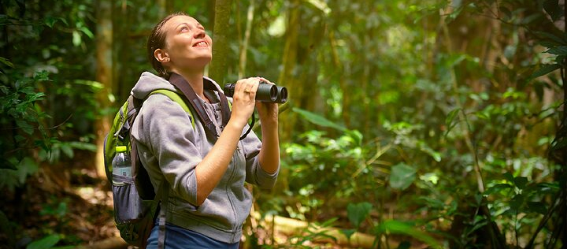 bay-ly-do-ban-nen-bat-dau-ngam-chim-trong-nam-nay