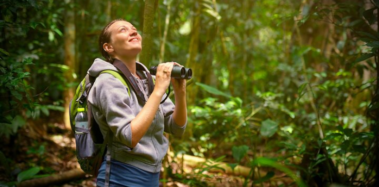 bay-ly-do-ban-nen-bat-dau-ngam-chim-trong-nam-nay