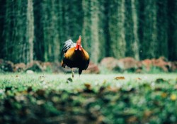 chung-ta-tham-hoa-moi-viec-nhu-the-nao-va-vi-sao