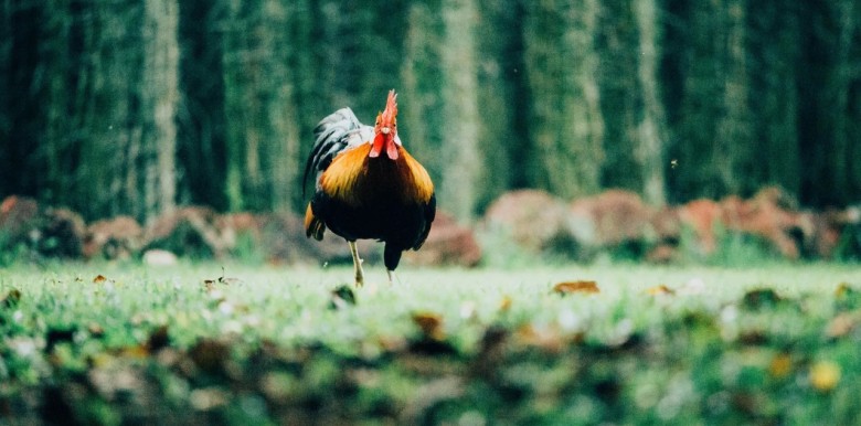 chung-ta-tham-hoa-moi-viec-nhu-the-nao-va-vi-sao