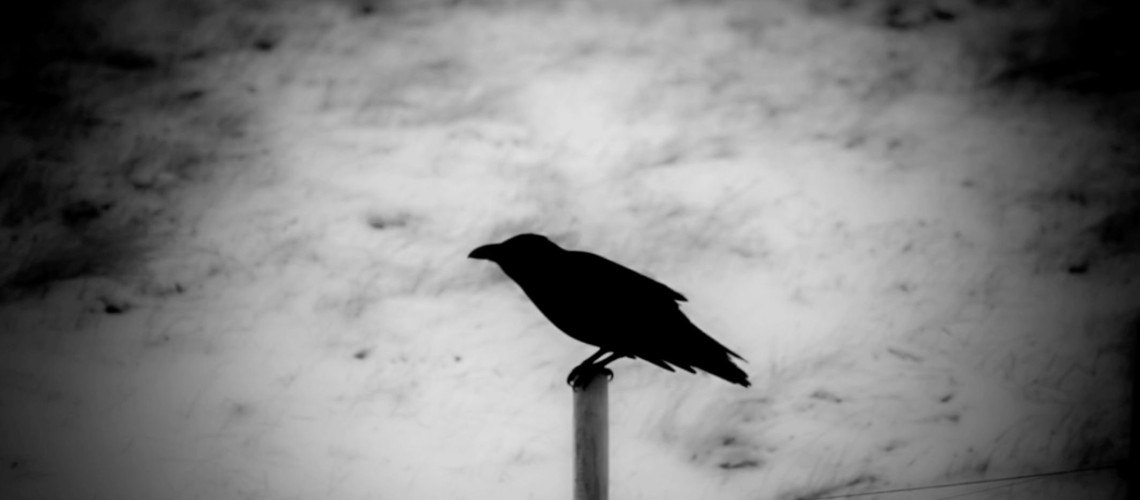 lieu-xoa-diu-hien-sinh-khi-ta-nhin-minh-nhu-mot-dong-tu-khong-phai-mot-danh-tu