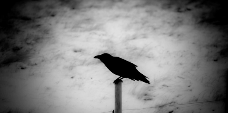 lieu-xoa-diu-hien-sinh-khi-ta-nhin-minh-nhu-mot-dong-tu-khong-phai-mot-danh-tu