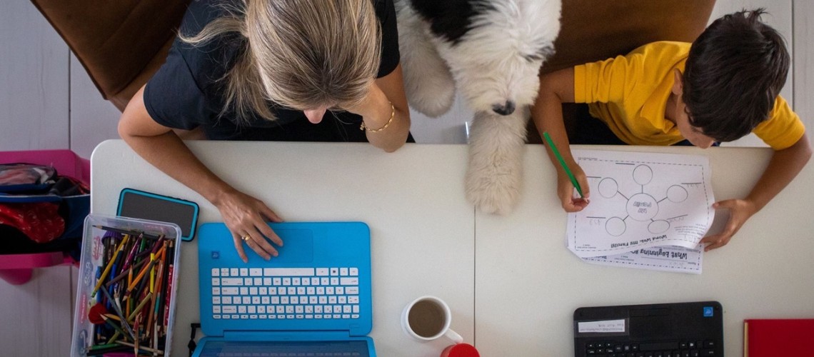 cuu-voi-nao-qua-tai-roi