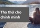 buoc-dau-tien-de-yeu-ban-than-la-hoc-cach-tha-thu-cho-chinh-minh