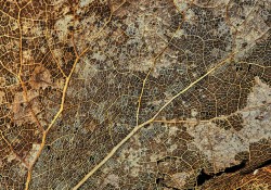 khi-tinh-yeu-hoa-ap-luc-nhung-noi-dau-cua-su-gan-bo
