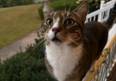 4-ly-do-khien-chung-ta-khong-hieu-nhau