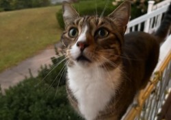 4-ly-do-khien-chung-ta-khong-hieu-nhau