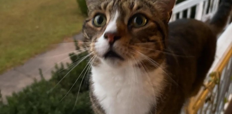 4-ly-do-khien-chung-ta-khong-hieu-nhau