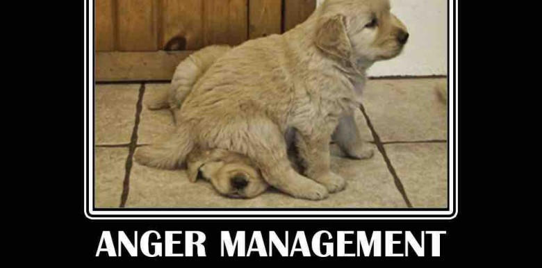 lam-sao-de-kien-cuong-4-buoc-tim-hanh-phuc-khi-cuoc-song-tro-nen-kho-khan