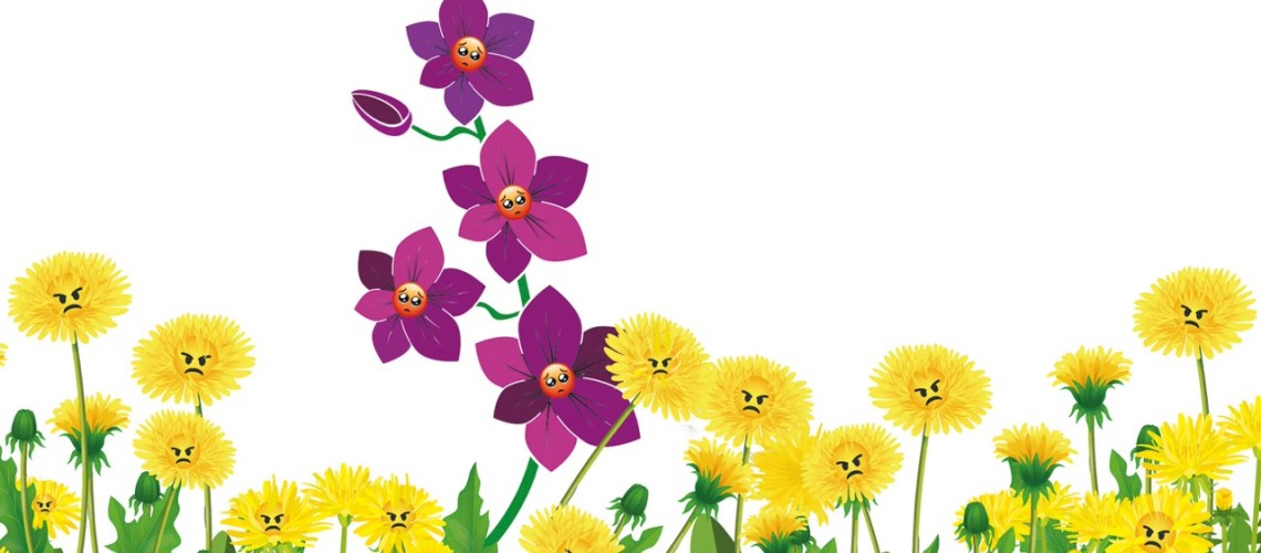 ban-la-nguoi-hay-lo-au-huong-noi-hay-chi-don-gian-la-mot-nguoi-cuc-ky-nhay-cam