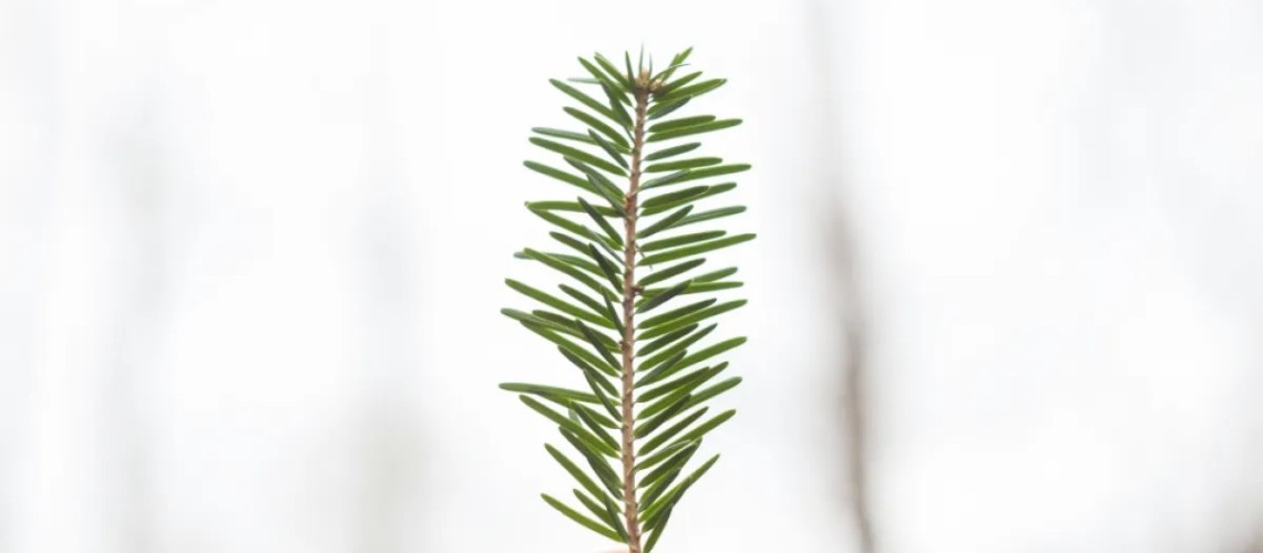 hieu-lam-ve-thanh-cong-pham-chat-bi-lang-quen-nhat-trong-cuoc-doi