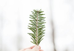 hieu-lam-ve-thanh-cong-pham-chat-bi-lang-quen-nhat-trong-cuoc-doi