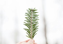 hieu-lam-ve-thanh-cong-pham-chat-bi-lang-quen-nhat-trong-cuoc-doi