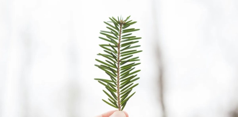 hieu-lam-ve-thanh-cong-pham-chat-bi-lang-quen-nhat-trong-cuoc-doi