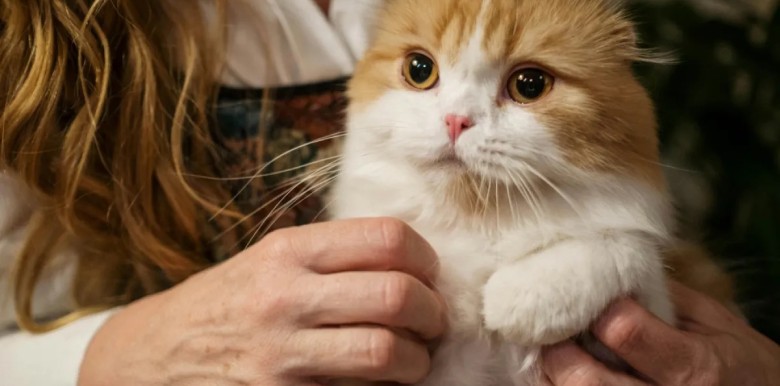 thu-cung-co-lam-chu-nhan-hanh-phuc-hon-khong-mot-nghien-cuu-moi-noi-la-khong