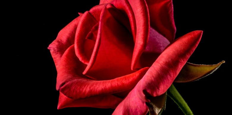 7-dieu-freud-da-nhin-rat-dung-ve-tinh-yeu-va-tinh-duc