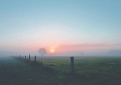 dieu-lang-man-nhat-ban-co-the-noi-voi-mot-nguoi