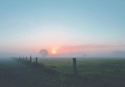 dieu-lang-man-nhat-ban-co-the-noi-voi-mot-nguoi