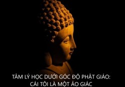 tam-ly-hoc-duoi-goc-do-phat-giao-cai-toi-la-mot-ao-giac