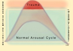 chung-ta-chua-lanh-sang-chan-bang-cach-nao