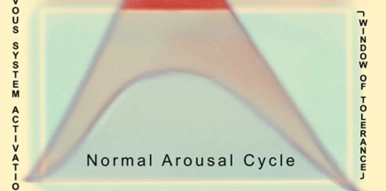 chung-ta-chua-lanh-sang-chan-bang-cach-nao