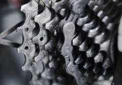 khong-y-chi-khong-phai-la-mot-co-bap-day-la-cach-tot-hon-de-hieu-ve-no