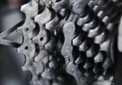 khong-y-chi-khong-phai-la-mot-co-bap-day-la-cach-tot-hon-de-hieu-ve-no