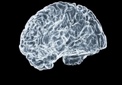 thien-dinh-chuyen-hoa-tam-tri-nhanh-hon-chung-ta-tuong