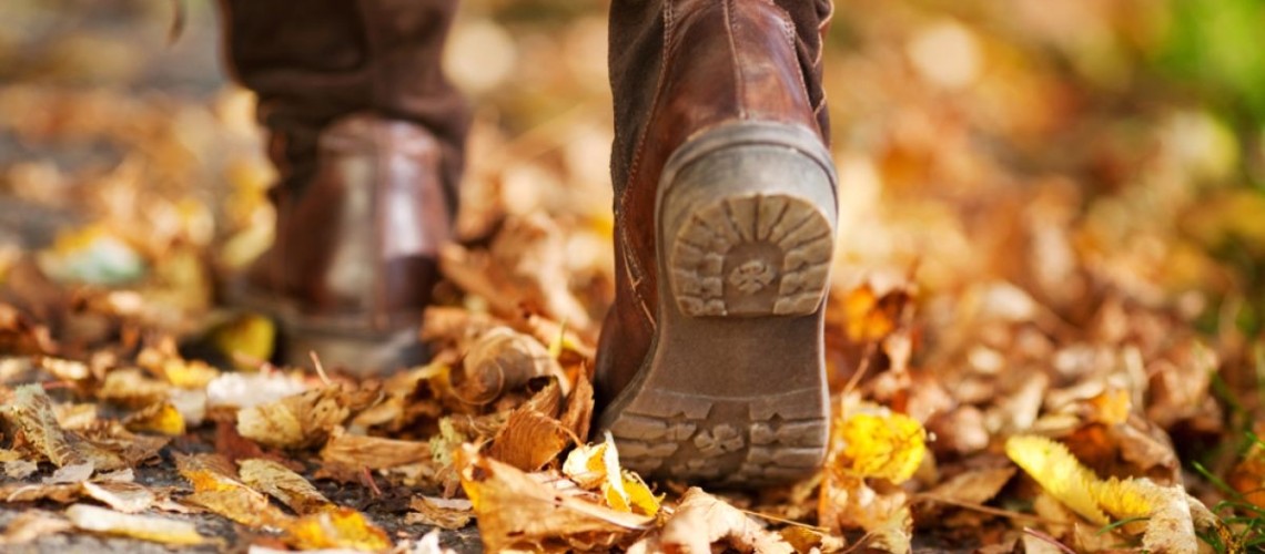 chi-voi-3-000-buoc-moi-ngay-ban-da-co-the-bao-ve-nao-bo